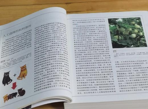 特惠：“改变人类历史进程丛书”（全新修订版）平装16开，全7册，亚当·斯密 等，江苏人民出版社2011年3月出版，印次不详，定价：443，售价：135。 商品图13