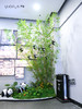 高仿真植物造景定制设计/商场家居多场景生态景观搭建+一站式安装（具体价格可咨询商家） 商品缩略图2