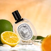 蒂普提克 夏日之光 Diptyque Ilio Limited Edition 常规版 分装 商品缩略图2
