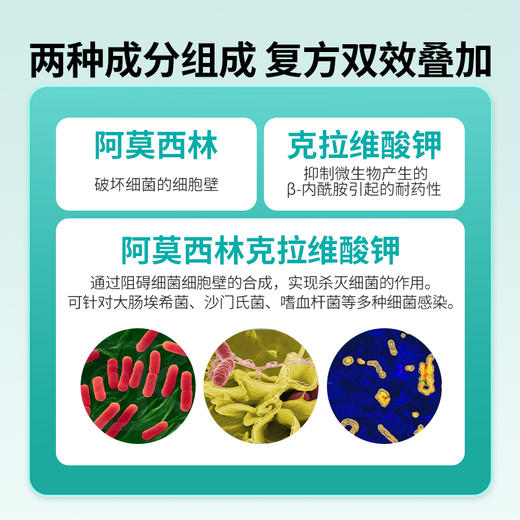 狗狗猫咪感冒药猫支鼻咳嗽打喷嚏流鼻涕宠物阿莫西林克拉维酸甲片 商品图2