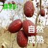 疆果乐精选新疆灰枣 360g 商品缩略图2