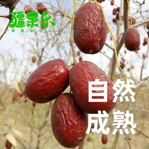疆果乐精选新疆灰枣 360g 商品图2