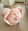 🍃【飞天猪溜溜凳】 | 可爱到犯规！！谁懂啊家人们！🔥它有着粉粉嫩嫩的外表，胖嘟嘟的脸蛋上一双萌萌的眼睛，✌️ 还有那标志性的粉色猪鼻子，看起来软萌又治愈。 商品缩略图3