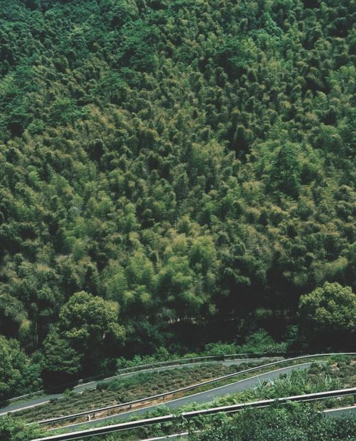 WeCycle大宁久光｜7/12诸坞林道爬坡 商品图3