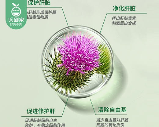 新西兰Vrjeir威杰尔水飞蓟籽油凝胶糖果/1瓶（60粒，共42g）生产日期：25年1月补单专用 商品图1