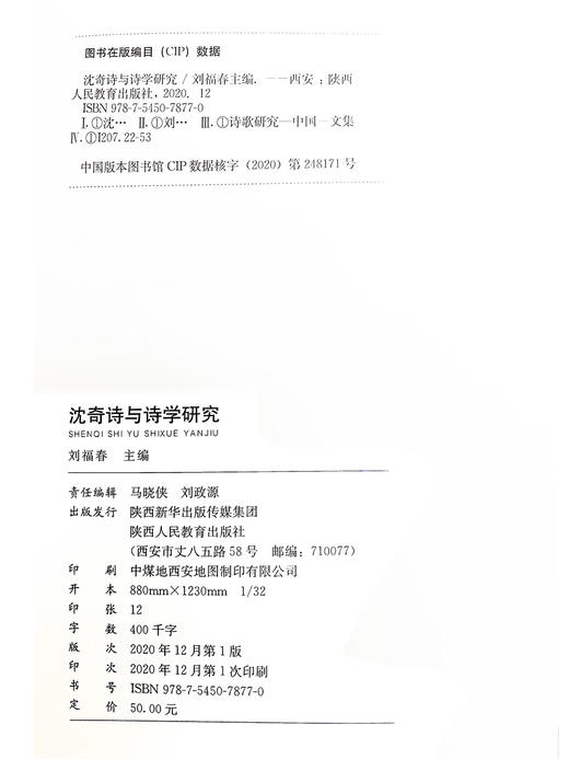 沈奇诗与诗学研究 商品图1