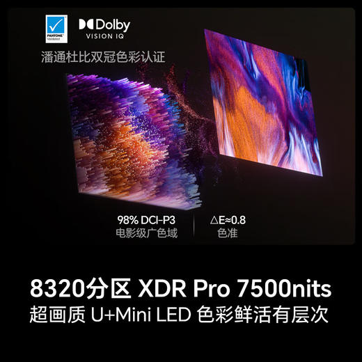 海信电视116E8Q Pro 116英寸 信芯H7 U+MiniLED 黑曜屏Pro 帝瓦雷116E8Q-PRO世俱杯官方电视98/100 商品图5