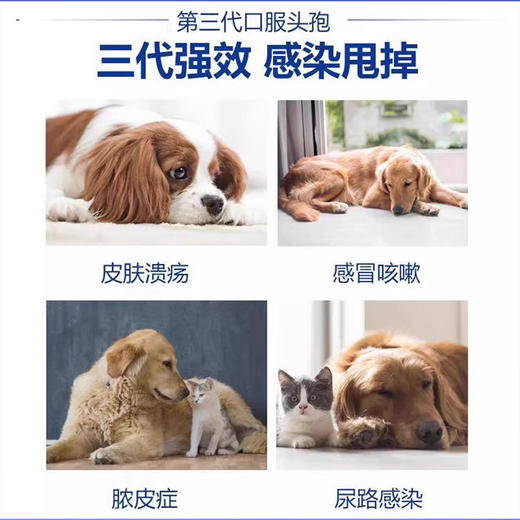 回盛宠物-头孢泊肟酯片 商品图1