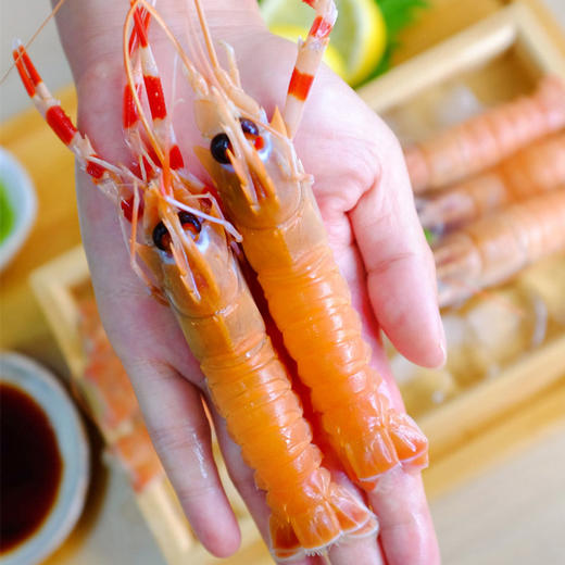 东海·特大号金标鳌虾 200g*4盒+送1盒80g试吃装 肉肥鲜甜软糯 在家实现刺身自由 商品图2