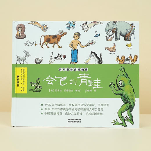 会飞的青蛙 商品图1