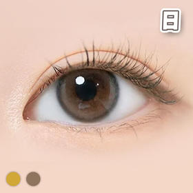 #EYEIS 美洛艾希 棕色/巧棕色 14.2mm【10片装】进口日抛 / 日抛
