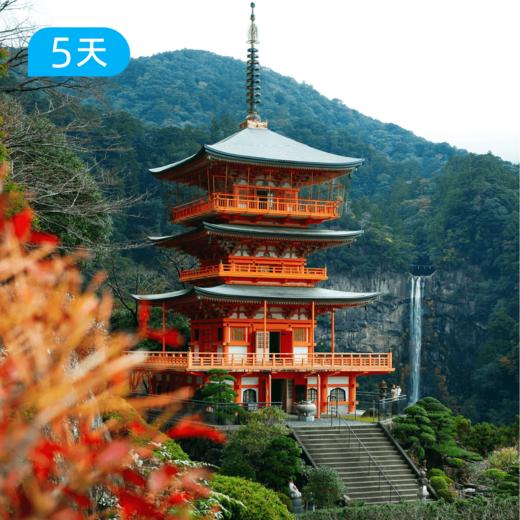日本熊野古道丨全踏破版50KM  中边路 枫叶季 5日 商品图2