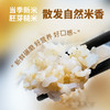 物元农场有机糙米 五谷杂粮米东北粗粮粥饭健身饱腹真空装 商品缩略图1