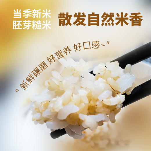 物元农场有机糙米 五谷杂粮米东北粗粮粥饭健身饱腹真空装 商品图1
