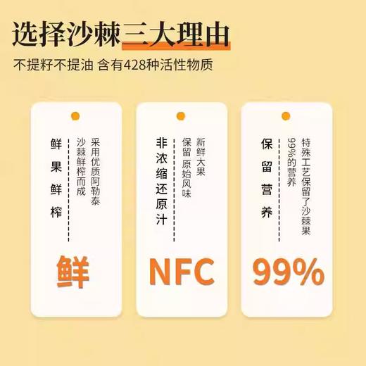 真宜健·沙棘胡萝卜汁 100g*10  富含天然维生素C  商品图4