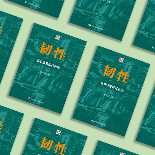 《韧性：县乡政府如何运行》 商品图9