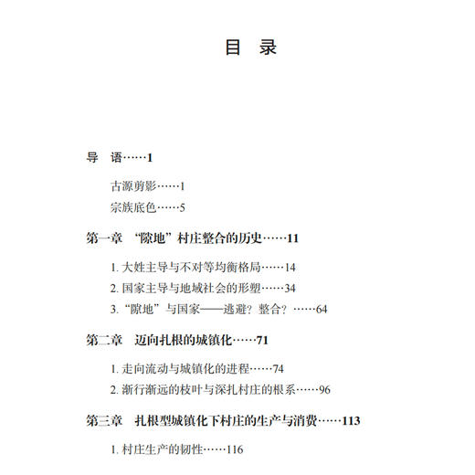 《故乡可安身：扎根型城镇化中的古源村》 商品图3