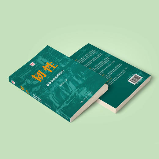 《韧性：县乡政府如何运行》 商品图10