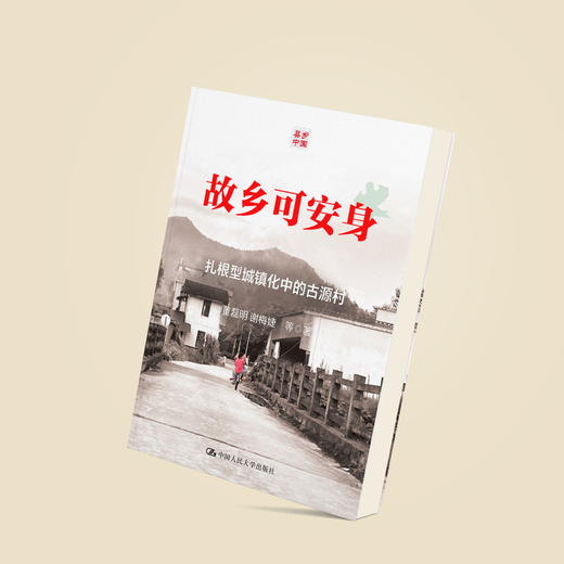 《故乡可安身：扎根型城镇化中的古源村》 商品图11