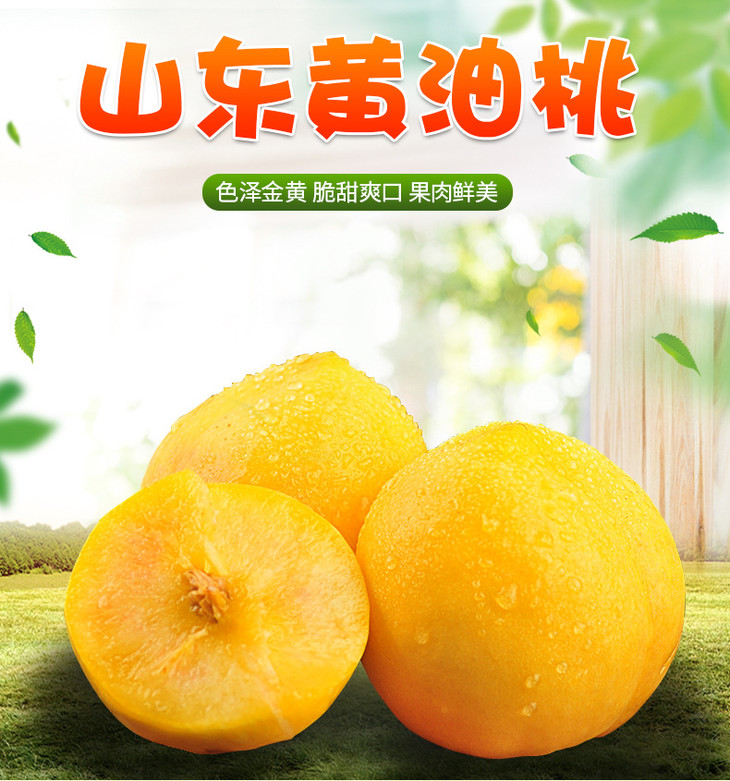 山东黄油桃_01.jpg