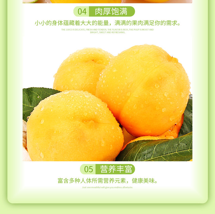 山东黄油桃_08.jpg