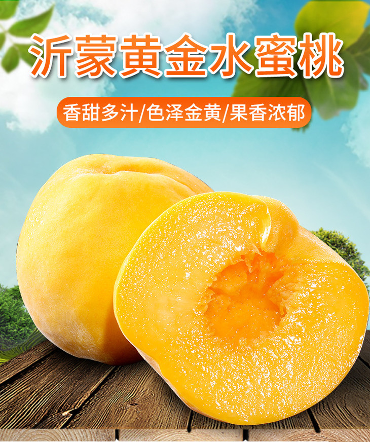 沂蒙黄金水蜜桃_01.jpg