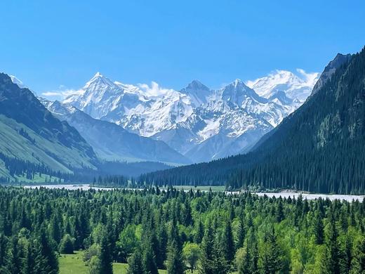 高性价比游新疆！早鸟立减800！大唐西域记亲子营，从吐鲁番到伊犁，8天穿越天山南北！火焰山、坎儿井、赛湖、喀拉峻、昭苏…一趟行程赚回所有票价！ 商品图6