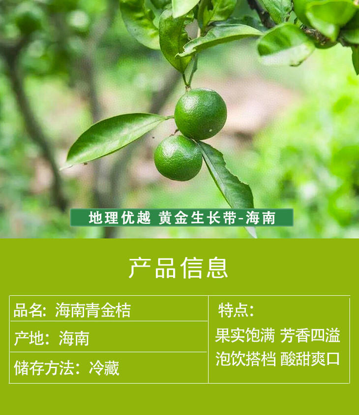 C-_Users_Administrator_Desktop