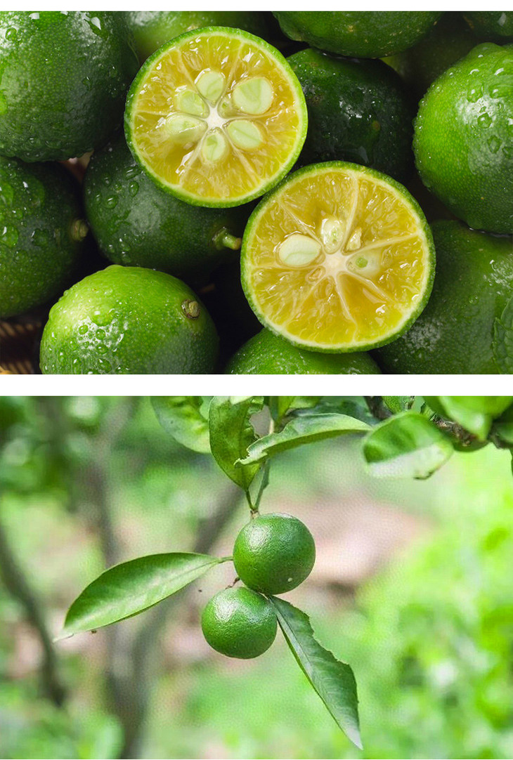 C-_Users_Administrator_Desktop