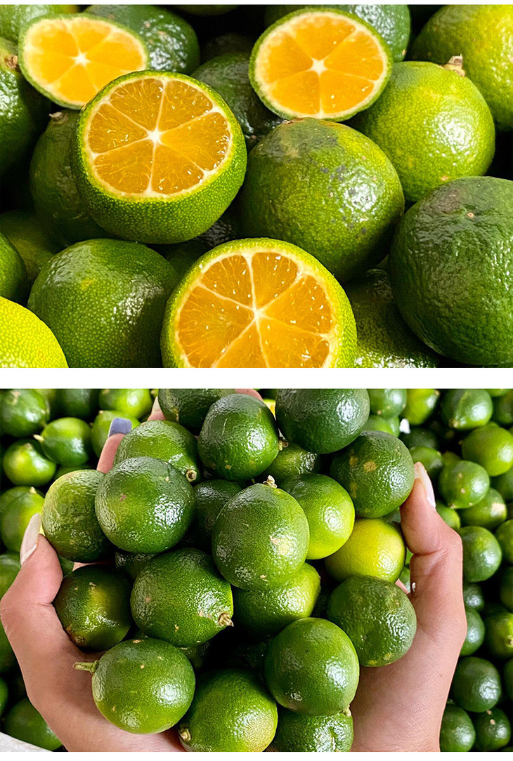 C-_Users_Administrator_Desktop