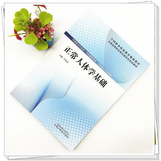 正常人体学基础 付抚东 主编 全国高等职业教育新形态规划教材 中国中医药出版社 供康复治疗技术 中医骨伤专业使用 商品图1