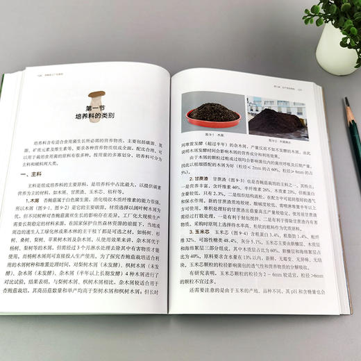 杏鲍菇工厂化栽培【袋式、瓶式栽培模式，彩图】 商品图2