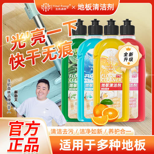 生机森林地板清洁剂瓷砖清洗剂家用去污垢神器拖地清洁液500ml*4瓶 商品图0