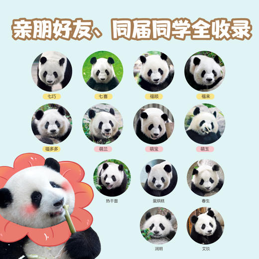 花花世界（160张高清近照，享受花花美颜暴击。不用去成都，不用排大队，在家就能看） 商品图3