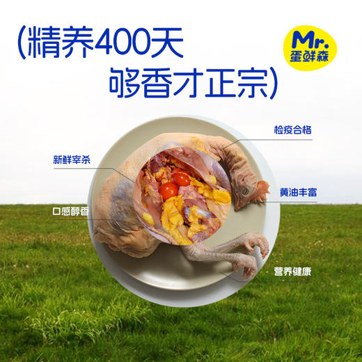 无抗黄油老母鸡 | 买二送一  99.9到手3只 ! 煲汤专用 养足400天 油黄汤也鲜 鲜鸡现杀肉质紧实 商品图6