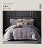 康尔馨2025新款100支双股长绒棉四件套A类纯棉轻奢高级感床品丝滑 商品缩略图0