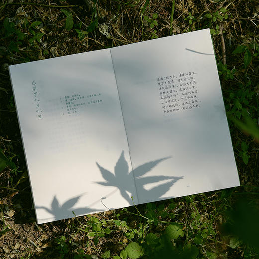 陶渊明诗画集：悠然见南山 商品图8