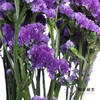 永生花材 | 勿忘我深紫 商品缩略图2