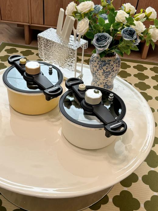 品牌退出中国市场疯狂清❗仅139❗原价539❗坏了直接换新❗德国百年国宝级厨具【德世朗马卡龙色6L钛合金涂层珐琅微压锅】焖煮炖煲样样精通 商品图4