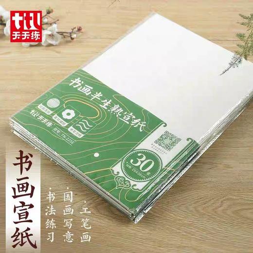 天天练书法练习宣纸/半生半熟/4K 商品图0