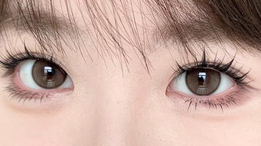 Bariecat日抛·玉米豆乳·14.5mm中大着色·10片日抛 商品图5