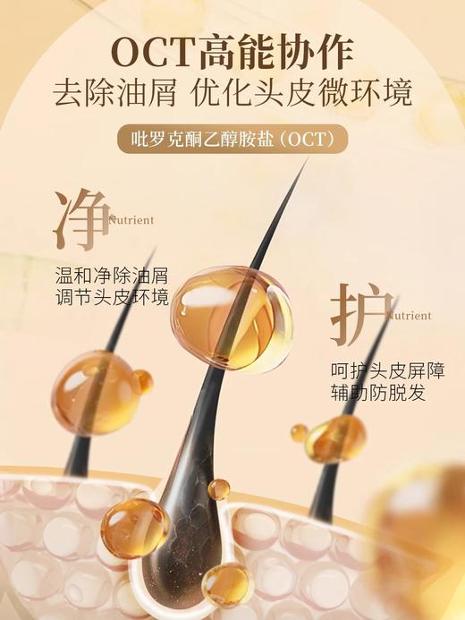 EHD防脱固发精华液套盒 商品图2