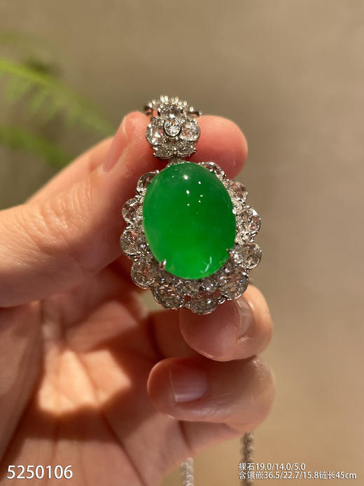 高冰艳绿蛋面吊坠【5250106】具体价格微信咨询 商品图6