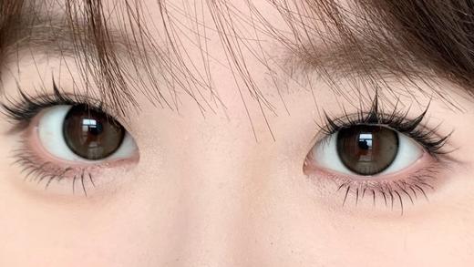 Bariecat日抛·芝麻豆乳·14.5mm中大着色·10片日抛 商品图6