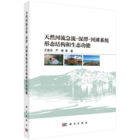 天然河流急流-深潭-河滩系统形态结构和生态功能