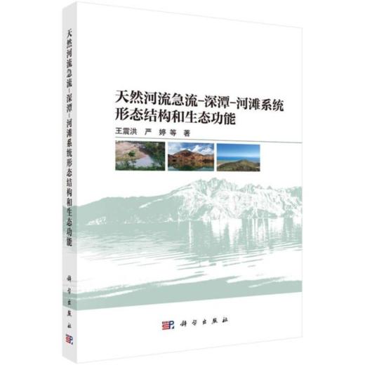天然河流急流-深潭-河滩系统形态结构和生态功能 商品图0