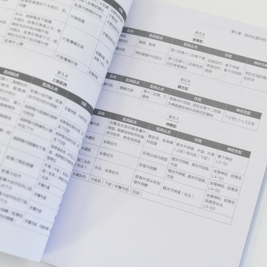 功能评估和体能测试指导手册 修订版 功能性运动表现测试 身体参数测试 商品图3