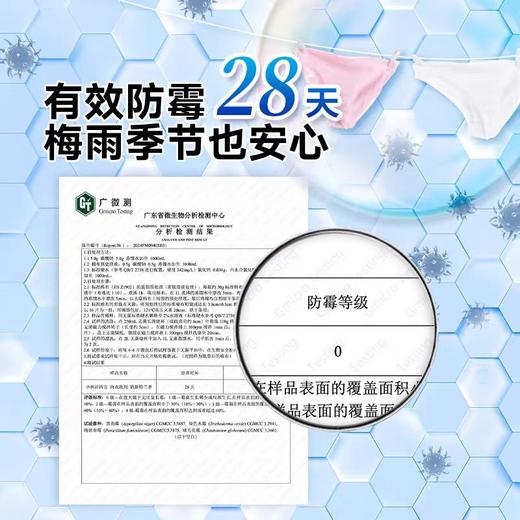 小林洁内宝 内衣洗剂【宝库优选】 商品图4