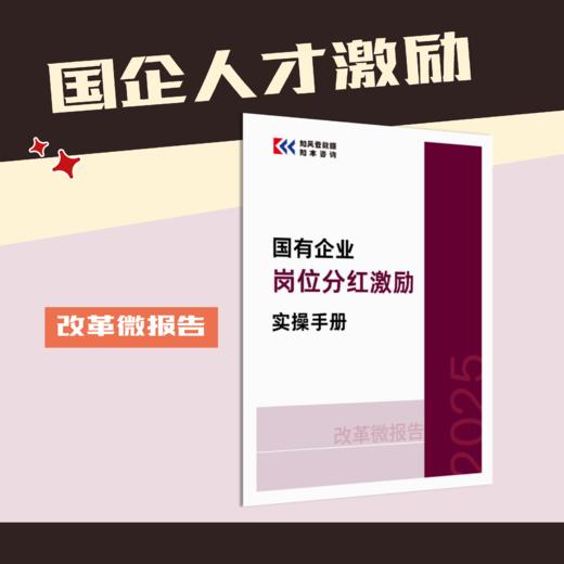 改革微报告 | 国有企业岗位分红激励实操手册（2025） 商品图0