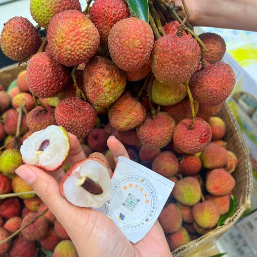 本地妃子笑荔枝 商品图0